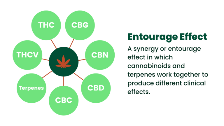 The Entourage Effect in Cannabis Flower