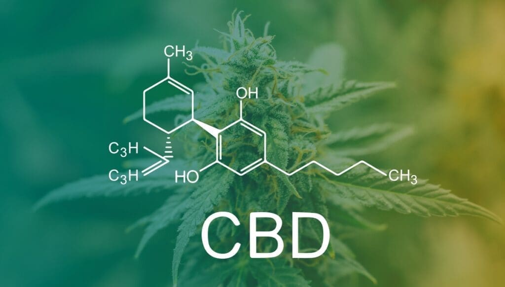 Cape Cod Cannabis Recreational Dispensary in Wellfleet, MA | The best Cape Cod dispensary, the best cannabis selection and the best cannabis prices on Cape Cod - Always worth the trip! CBD