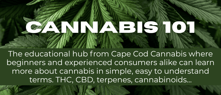 Cannabis 101 Blog Category at Cape Cod Cannabis in Wellfleet!
