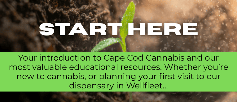 Start Here Blog Category at Cape Cod Cannabis in Wellfleet!