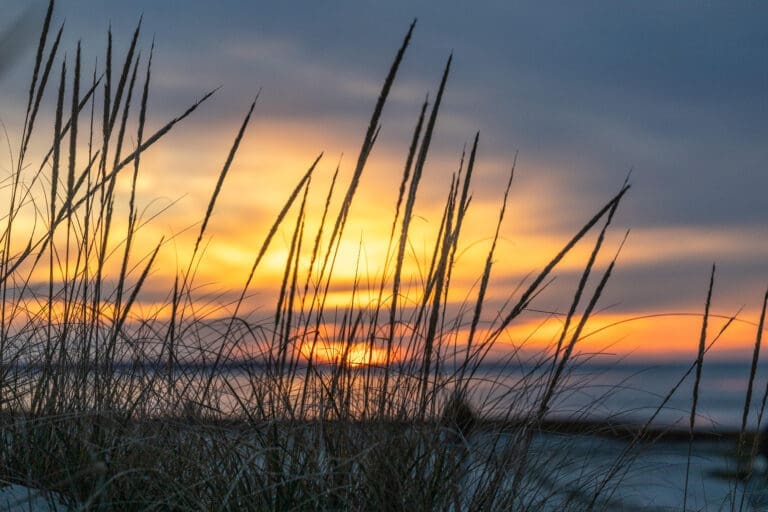 Cape Cod Cannabis, Wellfleet, MA - It's worth the trip!