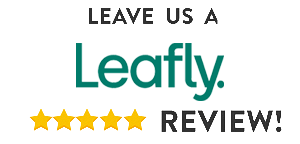 Leave us a Leafly review!