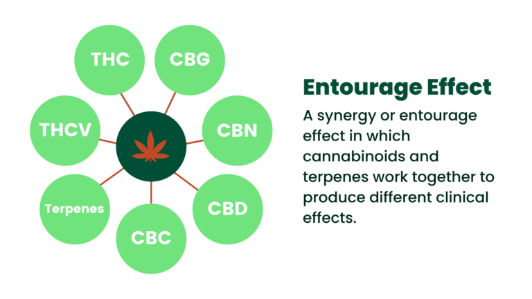 Terpene & Cannabinoid Guide | Cape Cod Cannabis Dispensary Near Me in Wellfleet, MA - It's worth the trip! The Entourage Effect