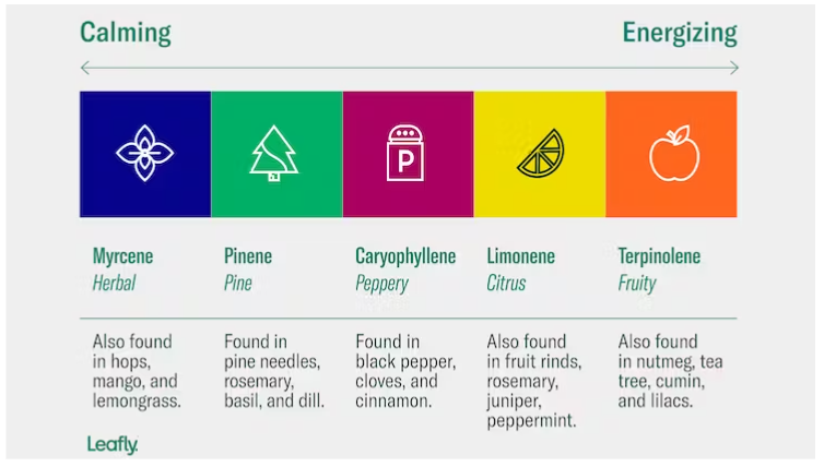 Terpene Chart provided by Leafly