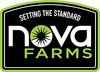 Nova Farms Pop-Up