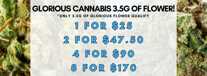 Glorious Cannabis Co Website Price Profile Images 720 x 265