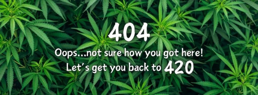 404 - Page not found