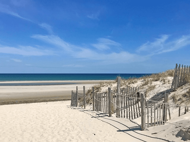 Cape Cod Cannabis Recreational Dispensary Near Dennis, MA Cape Cod Cannabis Recreational Dispensary Near Dennis, MA