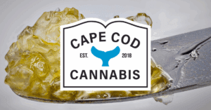 Shop Concentrates at Cape Cod Cannabis Dispensary near me on Cape Cod in Wellfleet, MA