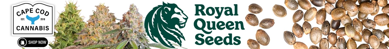 Seeds | The best Cape Cod dispensary, the best cannabis selection and the best cannabis prices on Cape Cod - It's worth the trip!