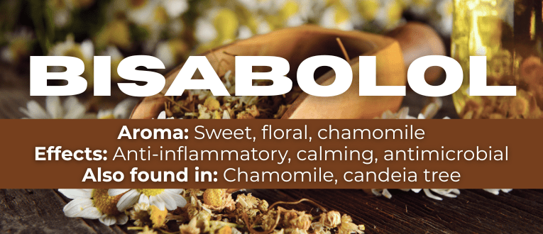 Shop Bisabolol Terpenes at Cape Cod Cannabis in Wellfleet, MA