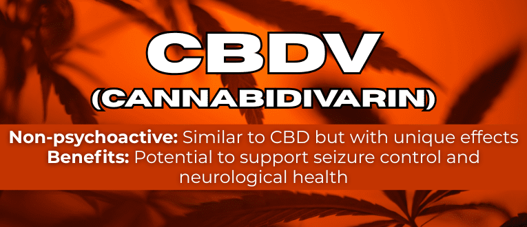 Shop CBDV Cannabinoids at Cape Cod Cannabis in Wellfleet, MA