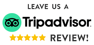 Leave a review for Cape Cod Cannabis Dispensary on Tripadvisor!