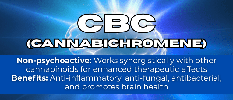 Shop CBC Cannabinoids at Cape Cod Cannabis in Wellfleet, MA