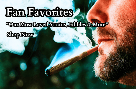 Home | Cape Cod Cannabis Dispensary Near Me in Wellfleet, MA - It's worth the trip! Home | Cape Cod Cannabis Dispensary Near Me in Wellfleet, MA - It's worth the trip!