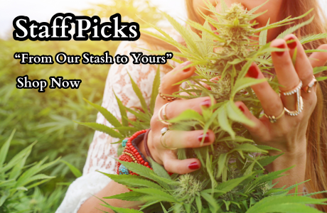 Home | Cape Cod Cannabis Dispensary Near Me in Wellfleet, MA - It's worth the trip! Home | Cape Cod Cannabis Dispensary Near Me in Wellfleet, MA - It's worth the trip!