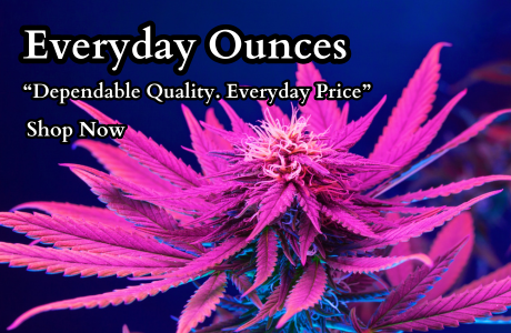 Home | Cape Cod Cannabis Dispensary Near Me in Wellfleet, MA - It's worth the trip! Cape Cod Cannabis Recreational Dispensary near me in Wellfleet, MA