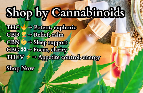 Home | Cape Cod Cannabis Dispensary Near Me in Wellfleet, MA - It's worth the trip! Cape Cod Cannabis Recreational Dispensary near me in Wellfleet, MA