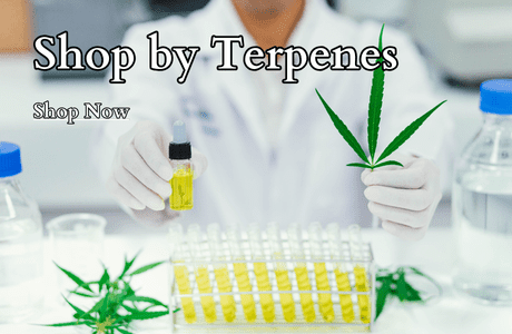 Cannabis Terpenes Ad 460 x 360 3