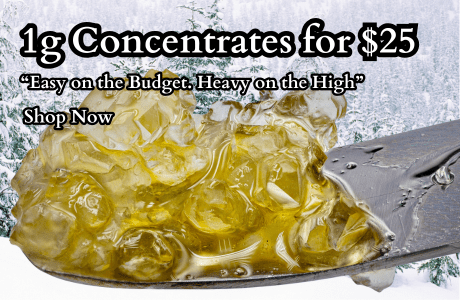 Home | Cape Cod Cannabis Dispensary Near Me in Wellfleet, MA - It's worth the trip!