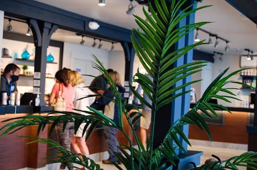 It's worth the trip! Wellfleet, MA