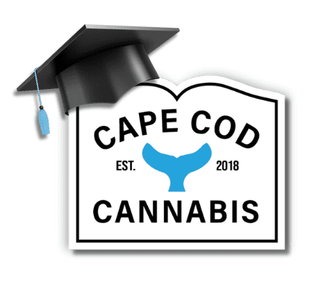 Cannabis 101: A Beginner's Guide to Cannabis from Cape Cod Cannabis in Wellfleet, MA