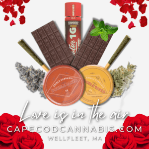 Valentine's Day Cannabis Gifts | Cape Cod Cannabis Dispensary Near Me in Wellfleet, MA - It's worth the trip! Valentine's Day Cannabis Gifts | Cape Cod Cannabis Dispensary Near Me in Wellfleet, MA - It's worth the trip!