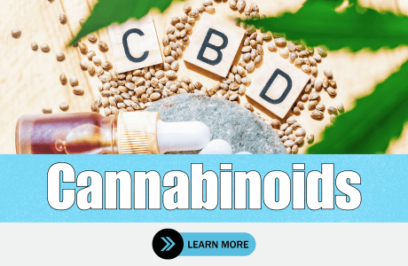 Cape Cod Cannabis Recreational Dispensary in Wellfleet, MA | The best Cape Cod dispensary, the best cannabis selection and the best cannabis prices on Cape Cod - Always worth the trip!