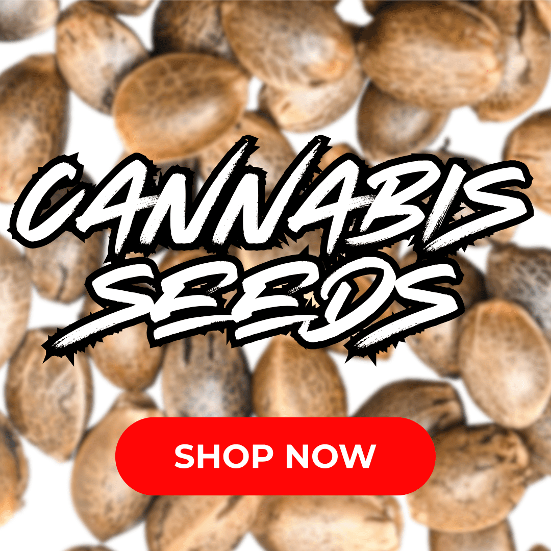 Cape Cod Cannabis Recreational Dispensary in Wellfleet, MA | The best Cape Cod dispensary, the best cannabis selection and the best cannabis prices on Cape Cod - Always worth the trip!