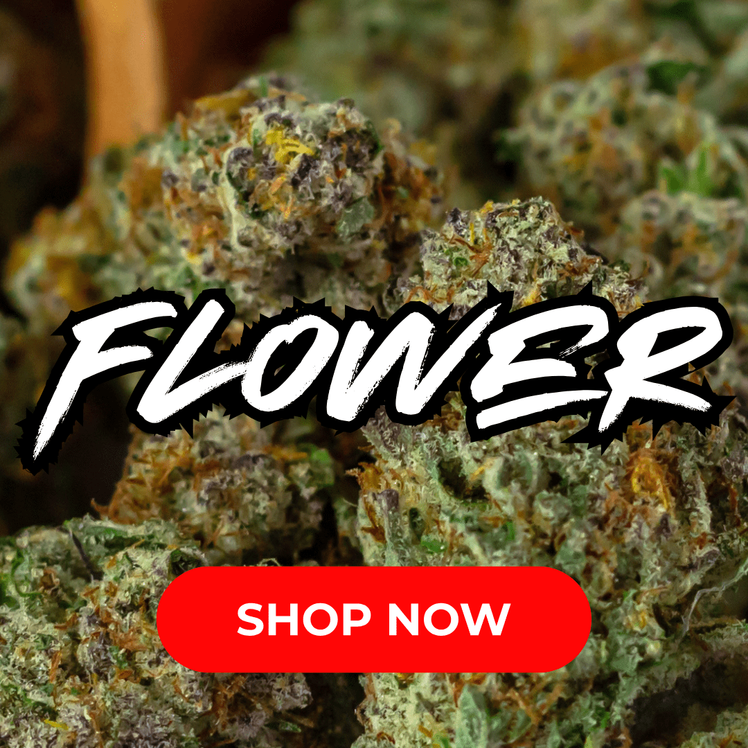 Cape Cod Cannabis Recreational Dispensary in Wellfleet, MA | The best Cape Cod dispensary, the best cannabis selection and the best cannabis prices on Cape Cod - Always worth the trip!
