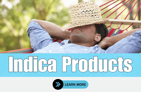 Cape Cod Cannabis Recreational Dispensary in Wellfleet, MA | The best Cape Cod dispensary, the best cannabis selection and the best cannabis prices on Cape Cod - Always worth the trip!