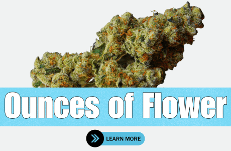 Cape Cod Cannabis Recreational Dispensary in Wellfleet, MA | The best Cape Cod dispensary, the best cannabis selection and the best cannabis prices on Cape Cod - Always worth the trip!