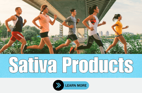 Cape Cod Cannabis Recreational Dispensary in Wellfleet, MA | The best Cape Cod dispensary, the best cannabis selection and the best cannabis prices on Cape Cod - Always worth the trip!