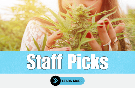 Cape Cod Cannabis Recreational Dispensary in Wellfleet, MA | The best Cape Cod dispensary, the best cannabis selection and the best cannabis prices on Cape Cod - Always worth the trip!