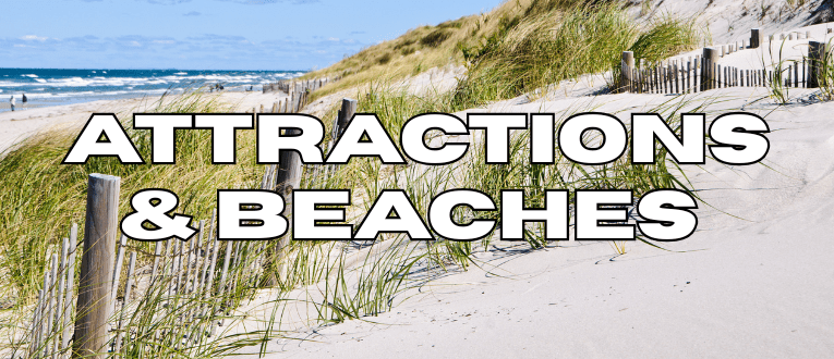 Local Wellfleet, MA Attractions and Beaches near Cape Cod Cannabis in Wellfleet, MA
