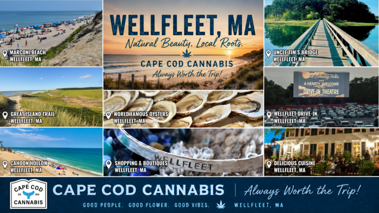 Things to Do in Wellfleet, MA and stop by Cape Cod Cannabis on your way, located in the Rt. 6 South Wellfleet Shopping Plaza!