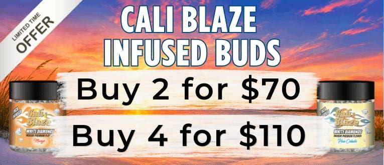Cape Cod Cannabis Recreational Dispensary in Wellfleet, MA | The best Cape Cod dispensary, the best cannabis selection and the best cannabis prices on Cape Cod - Always worth the trip!