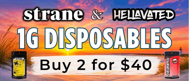 Cape Cod Cannabis Recreational Dispensary in Wellfleet, MA | The best Cape Cod dispensary, the best cannabis selection and the best cannabis prices on Cape Cod - Always worth the trip!