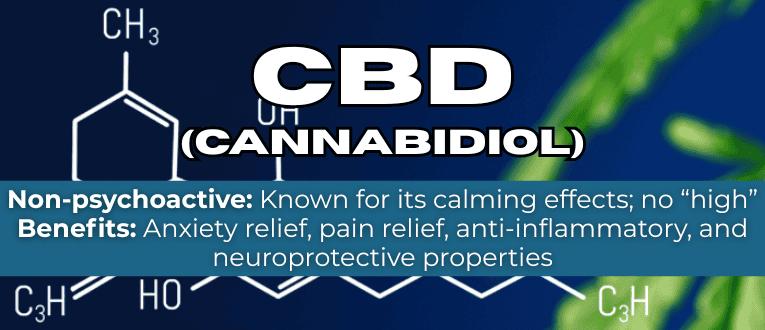 What is CBD? A Beginner's Guide What is CBD? A Beginner's Guide