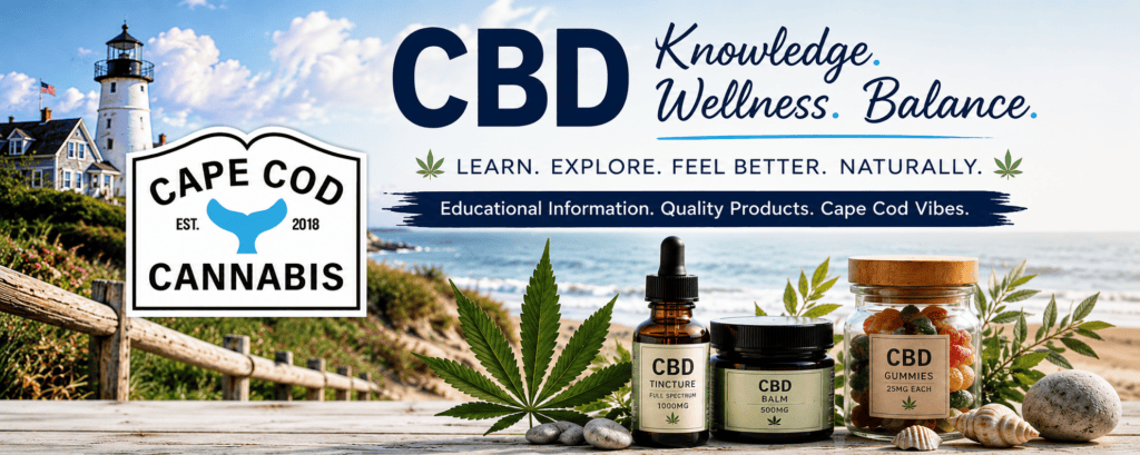 What is CBD? A Beginner's Guide What is CBD? A Beginner's Guide
