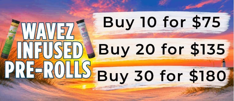 Cape Cod Cannabis Recreational Dispensary in Wellfleet, MA | The best Cape Cod dispensary, the best cannabis selection and the best cannabis prices on Cape Cod - Always worth the trip!