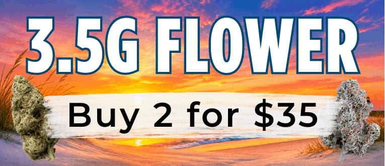 Cape Cod Cannabis Recreational Dispensary in Wellfleet, MA | The best Cape Cod dispensary, the best cannabis selection and the best cannabis prices on Cape Cod - Always worth the trip!