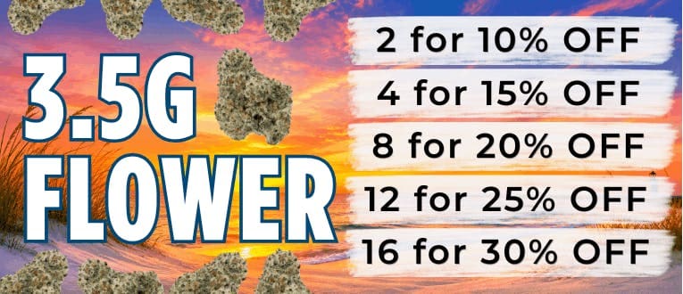 Cape Cod Cannabis Recreational Dispensary in Wellfleet, MA | The best Cape Cod dispensary, the best cannabis selection and the best cannabis prices on Cape Cod - Always worth the trip!