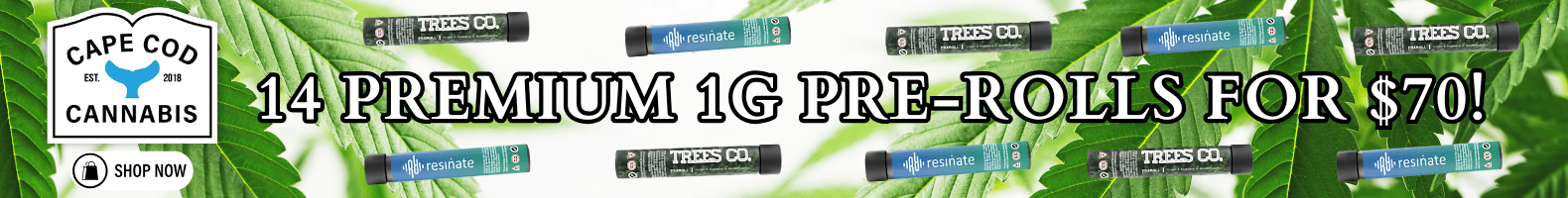 14 Premium 1g Pre-rolls for 70 banner ad 1580 x 200 14 Premium 1g Pre-rolls for 70 banner ad 1580 x 200