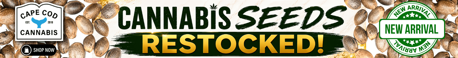 Shop Cannabis Seeds Restocked at Cape Cod Cannabis in Wellfleet!