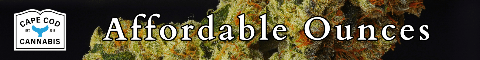 Category Banner Ads 1580 x 200