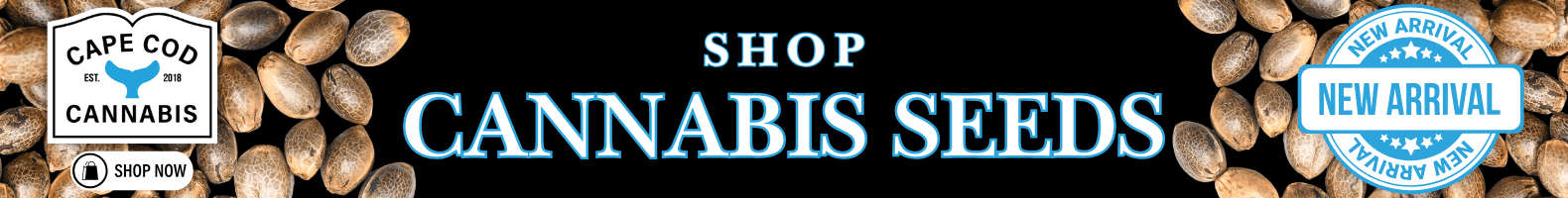 Shop Cannabis Seeds 1580 x 200